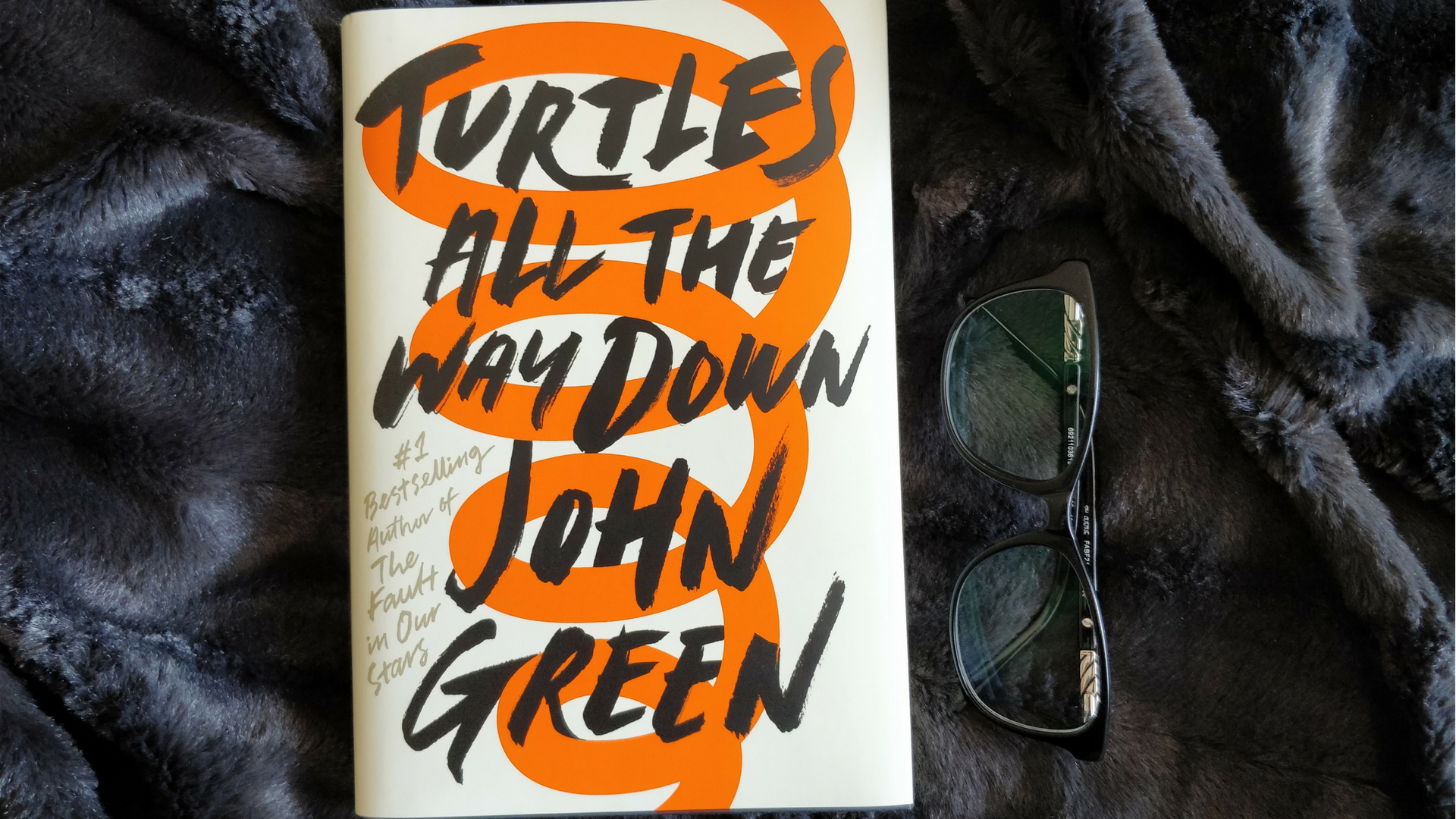Book Review – Turtles all the way Down – Yolandie Horak