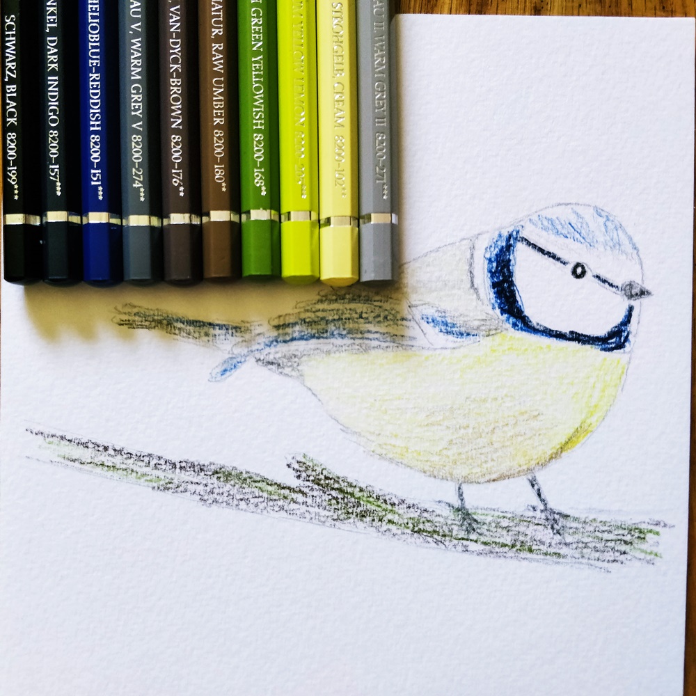 IMG_20180529_143315-38