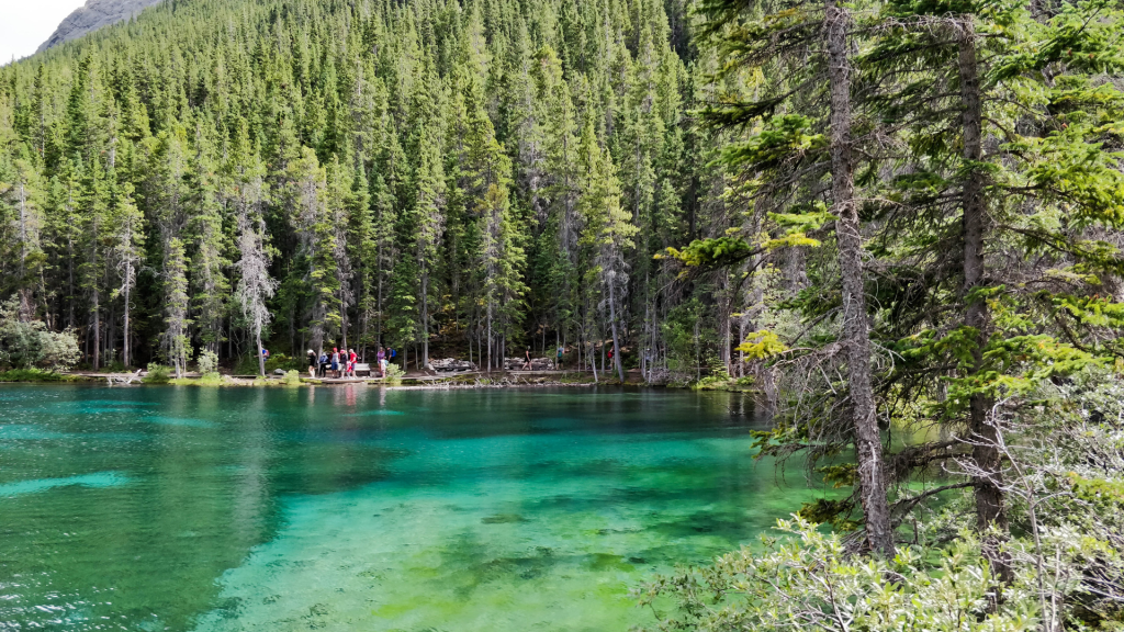 A Hike to Grassi&nbsp;Lakes