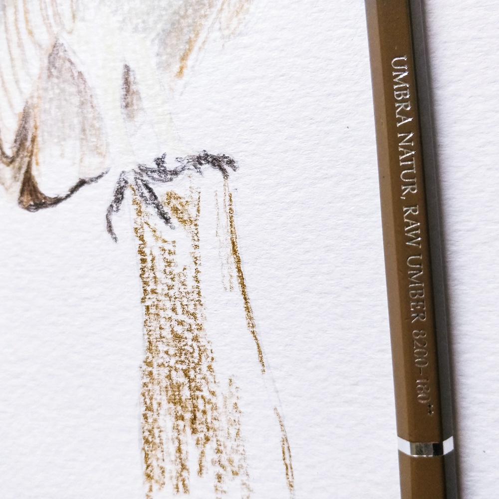 IMG_20180627_181101-21