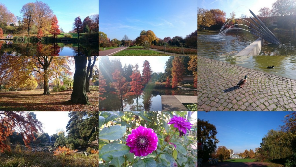 Sightseeing in Gruga Park&nbsp;(TGC)