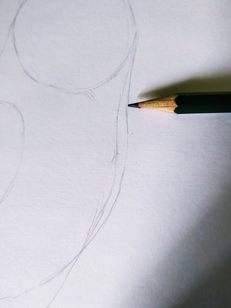 IMG_20180627_150044-6