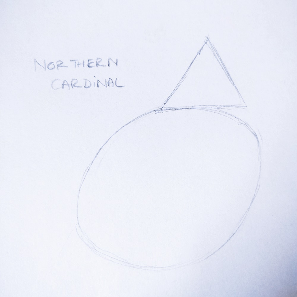 IMG_20180528_165249-14