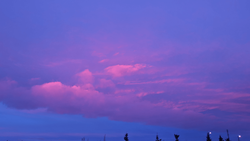 While I was&nbsp;Away