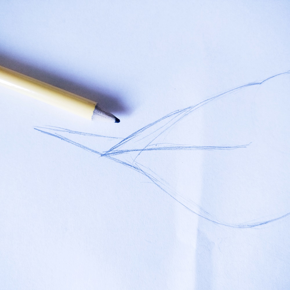 IMG_20180528_163554-5