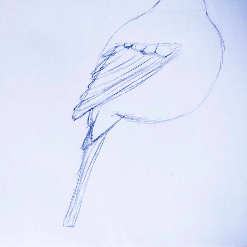 IMG_20180528_165704-17