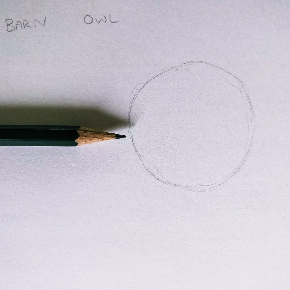 IMG_20180627_144600-1