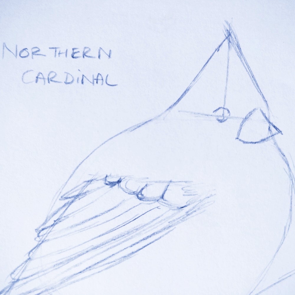 IMG_20180528_170042-25