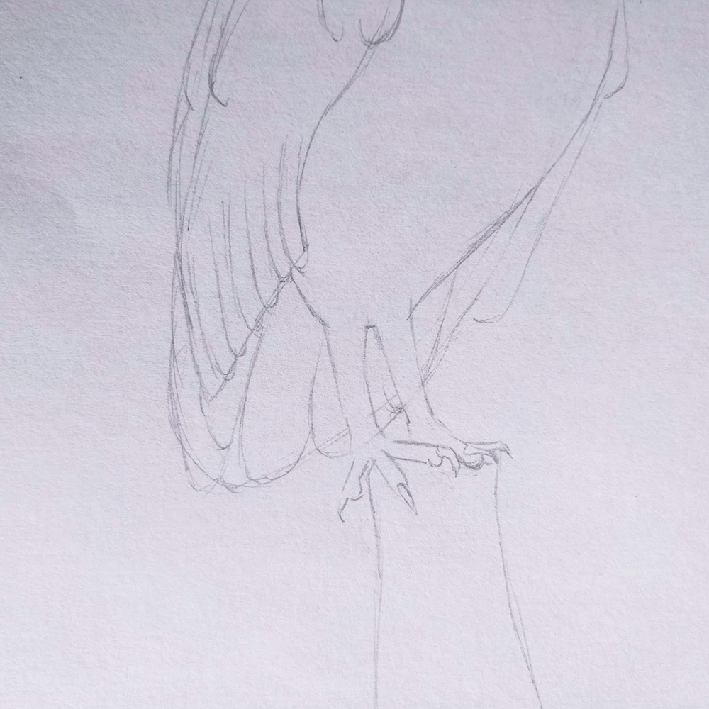 IMG_20180627_150907-10